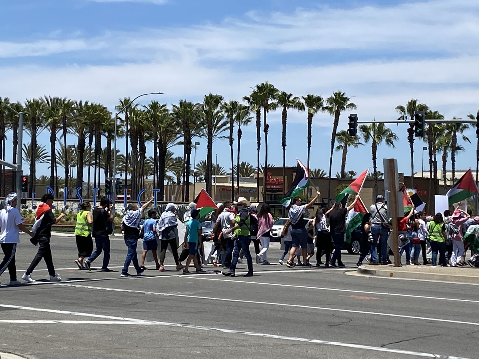 Palestine Rally March